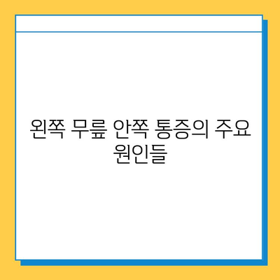 왼쪽 무릎 안쪽 통증| 원인 분석부터 연골 관리까지 | 무릎 통증, 연골 손상, 운동, 재활