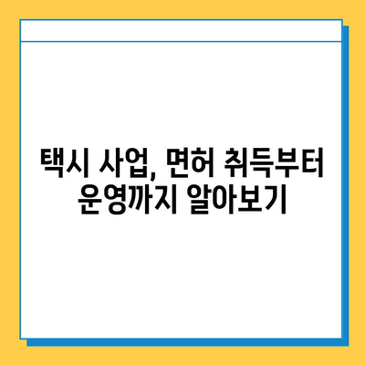 전라북도 정읍시 칠보면 개인택시 면허 매매 | 오늘 시세 & 넘버값, 자격조건, 월수입, 양수교육 | 개인택시 사업, 면허 취득, 운영 정보