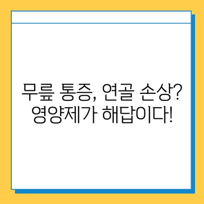 무릎 연골 건강 지키는 관절 통증 영양제 비교 가이드 | 무릎 통증, 연골 재생, 영양제 추천, 효능 비교