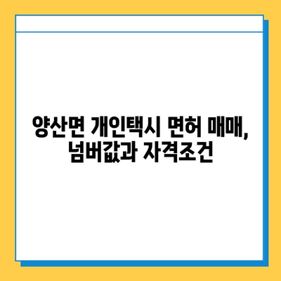 충청북도 영동군 양산면 개인택시 면허 매매 가격| 오늘 시세 확인 및 양수 교육 정보 | 번호판, 넘버값, 자격조건, 월수입