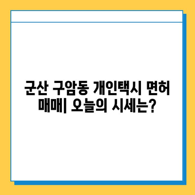 군산 구암동 개인택시 면허 매매 가격| 오늘 시세, 넘버값, 자격조건, 월수입, 양수교육 | 전라북도, 개인택시, 면허 매매, 시세 정보, 교육