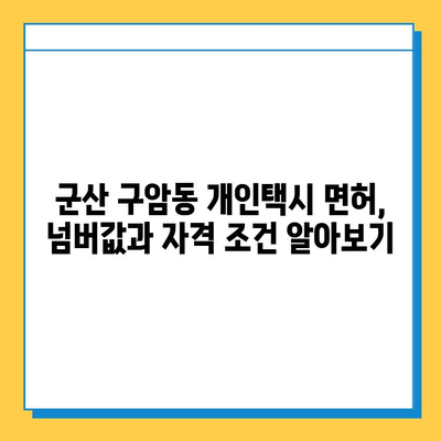 군산 구암동 개인택시 면허 매매 가격| 오늘 시세, 넘버값, 자격조건, 월수입, 양수교육 | 전라북도, 개인택시, 면허 매매, 시세 정보, 교육