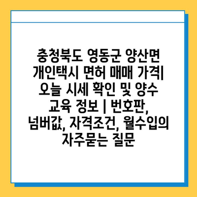 충청북도 영동군 양산면 개인택시 면허 매매 가격| 오늘 시세 확인 및 양수 교육 정보 | 번호판, 넘버값, 자격조건, 월수입