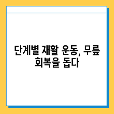 무릎 연골 수술 후 빠른 회복을 위한 재활 가이드 | 무릎 연골 수술, 재활 운동, 회복 기간