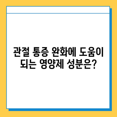 관절 건강 지키기| 호주 추천 관절연골 영양제 & 고려 사항 | 관절 통증, 연골 재생, 건강 기능 식품