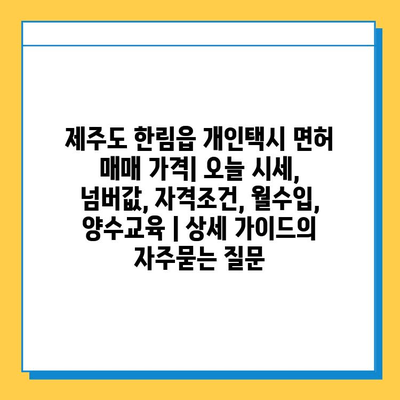 제주도 한림읍 개인택시 면허 매매 가격| 오늘 시세, 넘버값, 자격조건, 월수입, 양수교육 | 상세 가이드