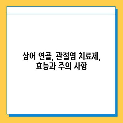 상어 연골 관절염 치료| 효과적인 관절염증약 정보 | 상어 연골, 관절염, 건강, 영양제