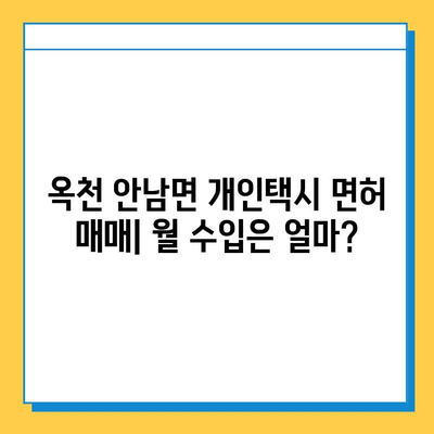 옥천 안남면 개인택시 면허 매매 가격| 오늘 시세 & 넘버값, 자격조건, 월수입, 양수교육 | 충청북도, 택시 매매, 면허 취득