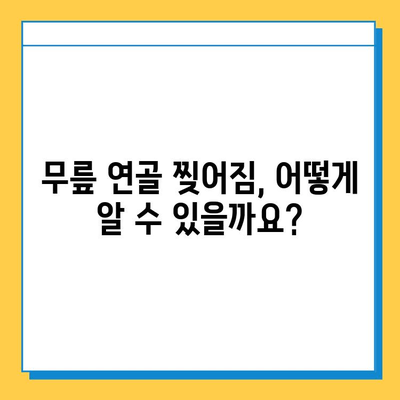 무릎 연골 찢어짐 회복| 실제 사례를 통한 완벽 가이드 | 무릎 연골, 찢어짐, 재활, 수술, 운동, 예방