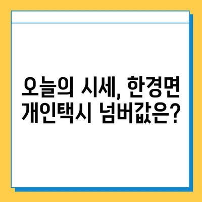 제주도 한경면 개인택시 면허 매매 가격| 오늘 시세, 넘버값, 자격조건, 월수입, 양수교육 | 상세 정보 및 가이드