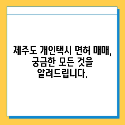 제주도 한경면 개인택시 면허 매매 가격| 오늘 시세, 넘버값, 자격조건, 월수입, 양수교육 | 상세 정보 및 가이드