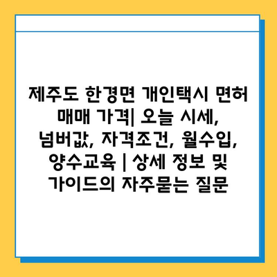 제주도 한경면 개인택시 면허 매매 가격| 오늘 시세, 넘버값, 자격조건, 월수입, 양수교육 | 상세 정보 및 가이드