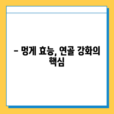 못난이 멍게, 연골 건강 지키는 비밀 무기? | 멍게 효능, 연골 강화, 콜라겐, 관절 건강