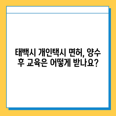 강원도 태백시 황연동 개인택시 면허 매매 가격| 오늘 시세, 번호판 가치, 자격 조건, 월수입, 양수 교육 | 상세 가이드