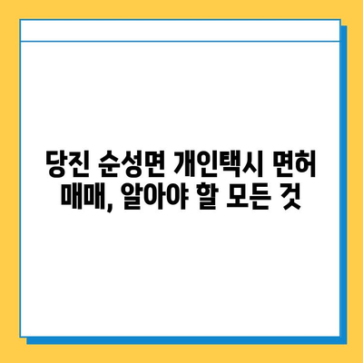 당진 순성면 개인택시 면허 매매 가격| 오늘 시세 & 자격조건 | 월수입 | 양수교육