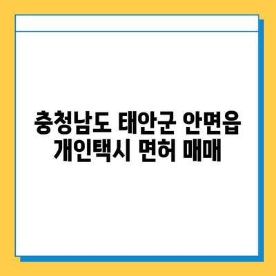 충청남도 태안군 안면읍 개인택시 면허 매매 가격| 오늘 시세 확인 | 번호판, 넘버값, 자격조건, 월수입, 양수교육