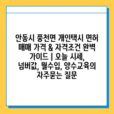 안동시 풍천면 개인택시 면허 매매 가격 & 자격조건 완벽 가이드 | 오늘 시세, 넘버값, 월수입, 양수교육