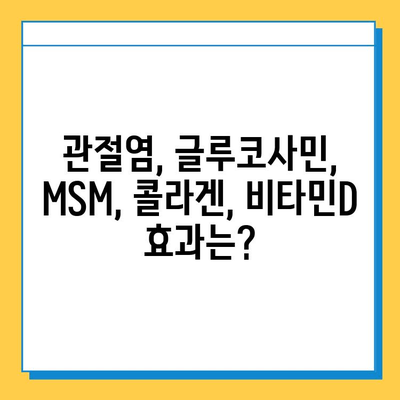 관절 통증, 연골 건강 지키는 영양제 비교 가이드 | 관절염, 글루코사민, MSM, 콜라겐, 비타민D, 효능, 부작용, 추천