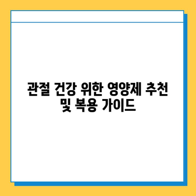 관절 통증, 연골 건강 지키는 영양제 비교 가이드 | 관절염, 글루코사민, MSM, 콜라겐, 비타민D, 효능, 부작용, 추천