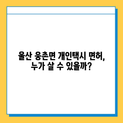 울산 웅촌면 개인택시 면허 매매 가격| 오늘 시세, 자격조건, 월수입, 양수교육 | 넘버값, 번호판 |