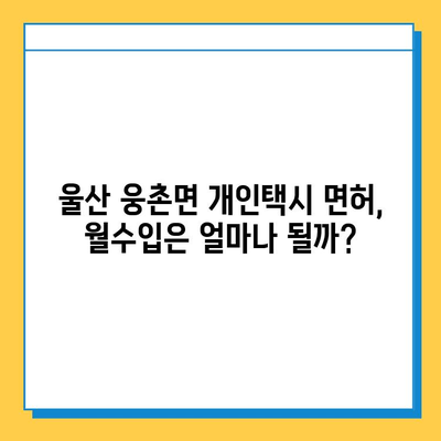 울산 웅촌면 개인택시 면허 매매 가격| 오늘 시세, 자격조건, 월수입, 양수교육 | 넘버값, 번호판 |