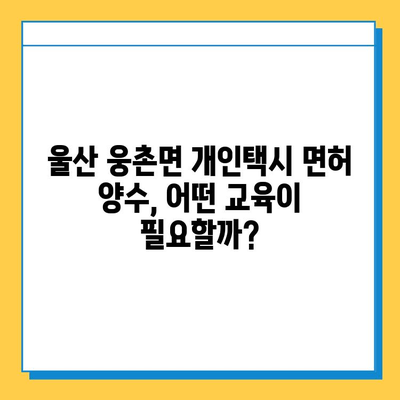 울산 웅촌면 개인택시 면허 매매 가격| 오늘 시세, 자격조건, 월수입, 양수교육 | 넘버값, 번호판 |