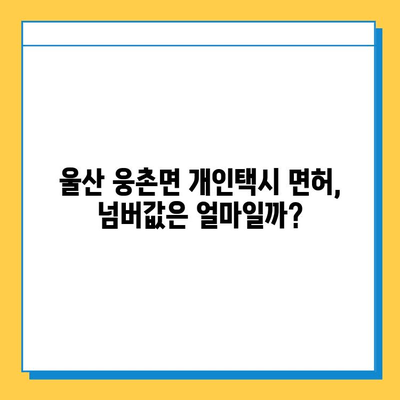 울산 웅촌면 개인택시 면허 매매 가격| 오늘 시세, 자격조건, 월수입, 양수교육 | 넘버값, 번호판 |