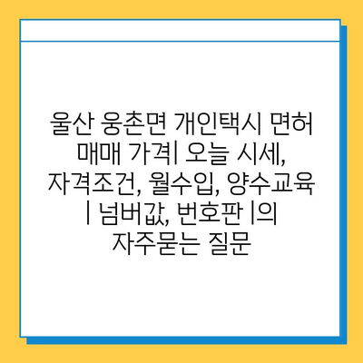 울산 웅촌면 개인택시 면허 매매 가격| 오늘 시세, 자격조건, 월수입, 양수교육 | 넘버값, 번호판 |