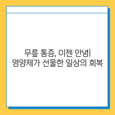 무릎 관절 연골 영양제, 내 삶을 바꾼 확실한 변화 리뷰 | 관절 건강, 연골 재생, 통증 완화, 추천 제품