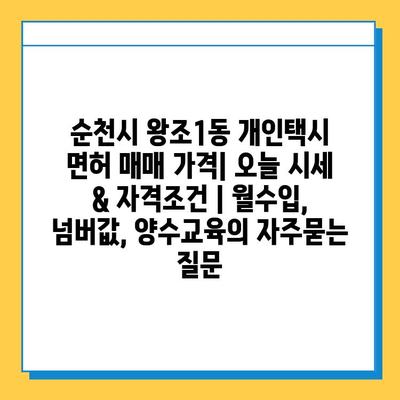 순천시 왕조1동 개인택시 면허 매매 가격| 오늘 시세 & 자격조건 | 월수입, 넘버값, 양수교육