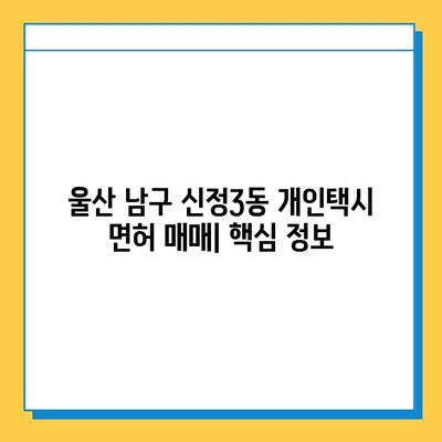 울산 남구 신정3동 개인택시 면허 매매| 오늘 시세 & 넘버값 | 자격조건, 월수입, 양수교육