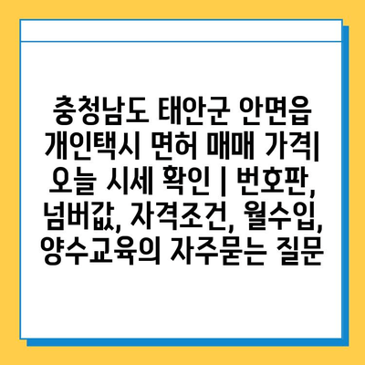 충청남도 태안군 안면읍 개인택시 면허 매매 가격| 오늘 시세 확인 | 번호판, 넘버값, 자격조건, 월수입, 양수교육