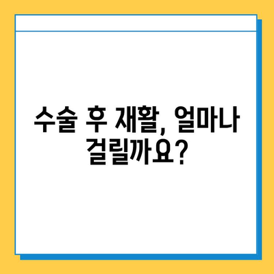 연골 임플란트, 궁금한 모든 것| 질문과 답변 총정리 | 연골, 임플란트, 수술, 재활, 비용, 부작용