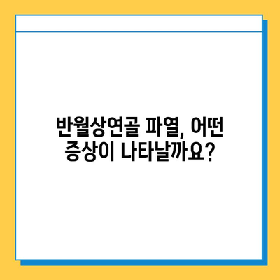 무릎 굽힘 통증| 반월상연골파열 의심? 증상과 치료 | 무릎 통증, 반월상연골, 진단, 치료