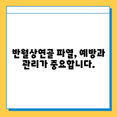 무릎 굽힘 통증| 반월상연골파열 의심? 증상과 치료 | 무릎 통증, 반월상연골, 진단, 치료