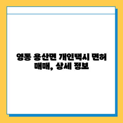 영동 용산면 개인택시 면허 매매 가격| 오늘 시세, 넘버값, 자격조건, 월수입, 양수교육 | 상세 정보