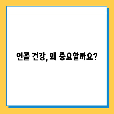 연골 건강 지키는 효과적인 영양제 추천 | 관절 건강, 연골 재생, 영양제 비교