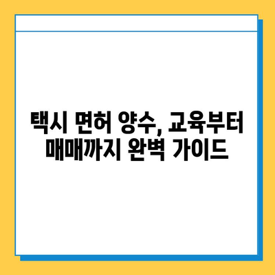 광주시 동구 지원1동 개인택시 면허 매매 가격| 오늘 시세 확인 & 자격조건, 월수입, 양수교육 정보 | 번호판, 넘버값, 매매 가이드