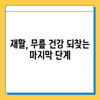 무릎 연골 손상, 연골 임플란트가 답일까요? | 무릎 통증, 연골 재생, 치료법, 수술, 재활