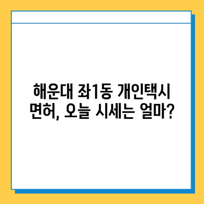 부산 해운대구 좌1동 개인택시 면허 매매 가격 (번호판, 넘버값) 오늘 시세 확인 | 자격조건, 월수입, 양수교육