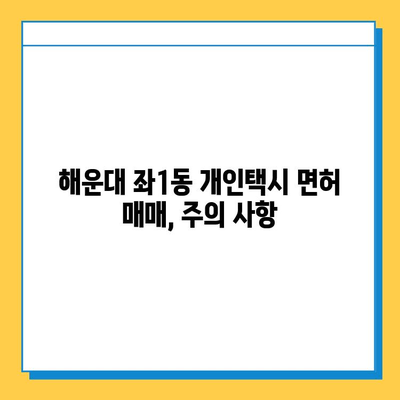 부산 해운대구 좌1동 개인택시 면허 매매 가격 (번호판, 넘버값) 오늘 시세 확인 | 자격조건, 월수입, 양수교육