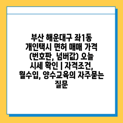 부산 해운대구 좌1동 개인택시 면허 매매 가격 (번호판, 넘버값) 오늘 시세 확인 | 자격조건, 월수입, 양수교육