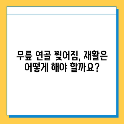 무릎 연골 찢어짐, 회복 가능할까요? | 원인, 증상, 치료 및 재활 가이드