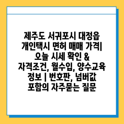 제주도 서귀포시 대정읍 개인택시 면허 매매 가격| 오늘 시세 확인 & 자격조건, 월수입, 양수교육 정보 | 번호판, 넘버값 포함