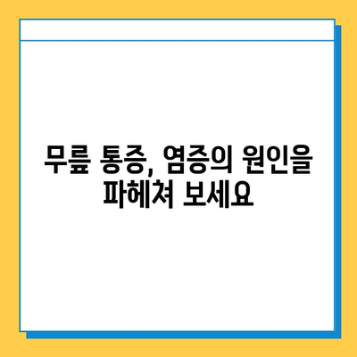 염증과 무릎| 힘줄과 연골에 미치는 영향 | 무릎 통증, 염증 원인, 치료법, 예방