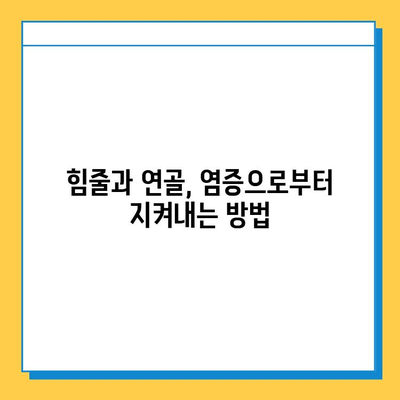 염증과 무릎| 힘줄과 연골에 미치는 영향 | 무릎 통증, 염증 원인, 치료법, 예방