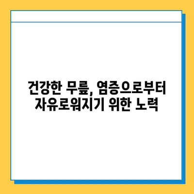 염증과 무릎| 힘줄과 연골에 미치는 영향 | 무릎 통증, 염증 원인, 치료법, 예방