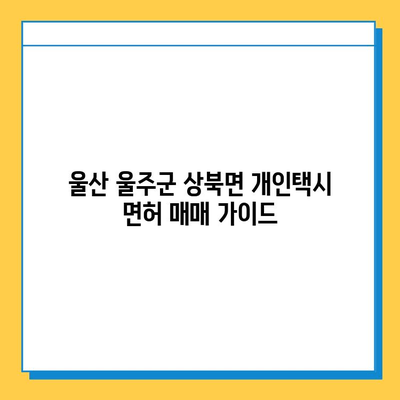 울산 울주군 상북면 개인택시 면허 매매| 오늘 시세, 넘버값, 자격조건, 월수입, 양수교육 | 상세 가이드