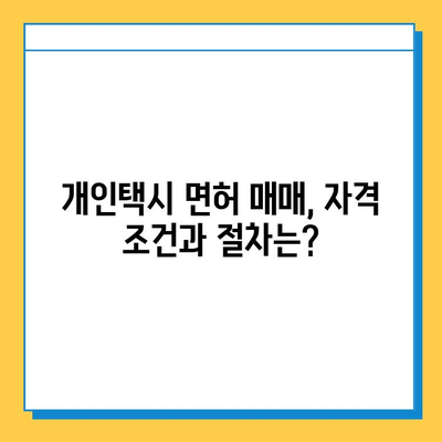 전라남도 완도군 고금면 개인택시 면허 매매 가격| 오늘 시세 확인 & 자격조건/월수입/양수교육 안내 | 번호판, 넘버값, 매매 정보