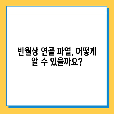 무릎 구부릴 때 통증? 반월상연골파열 의심 증상과 치료법 | 무릎 통증, 관절 손상, 운동, 재활